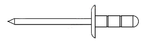 nit multi łeb pow