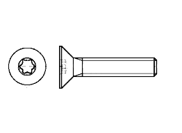 DIN 965 TORX kopia